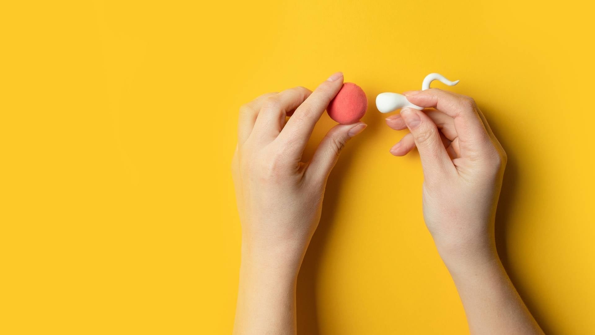 The Different Methods of Conception — It’s Not a One Size Fits All Approach