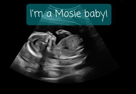 Sonogram with text that reads: I'm a Mosie Baby!