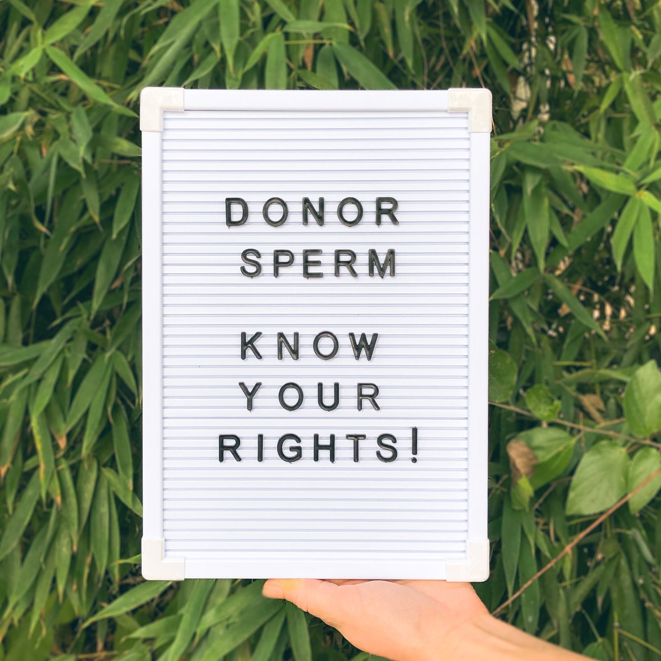 donor sperm, know your rights