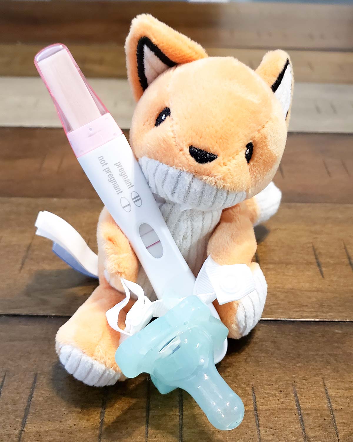 Positive pregnancy is placed in the arms of a stuffed fox along with a blue pacifier