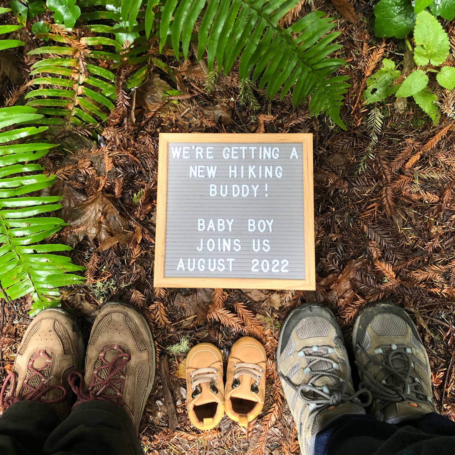 a sign that says "We're getting a new hiking buddy! baby boy joins us august 2022"
