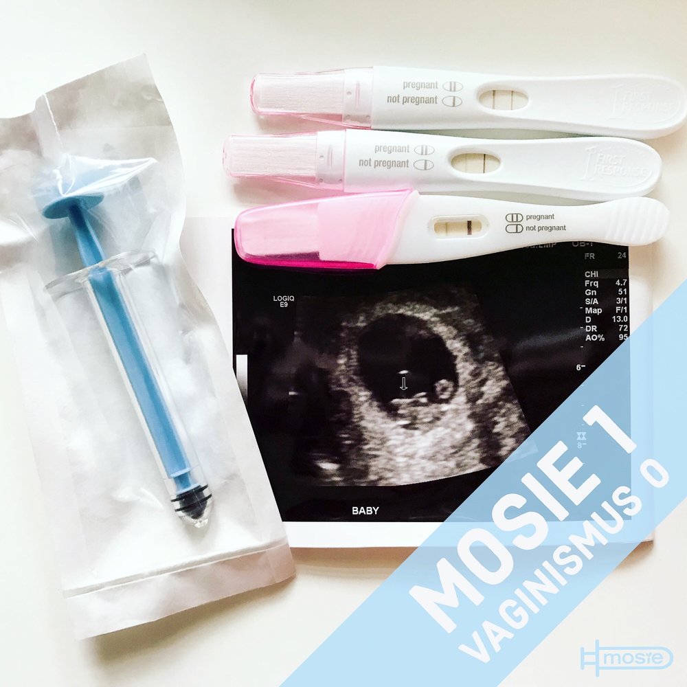 a sonogram, three positive pregnancy tests, and a Mosie syringe