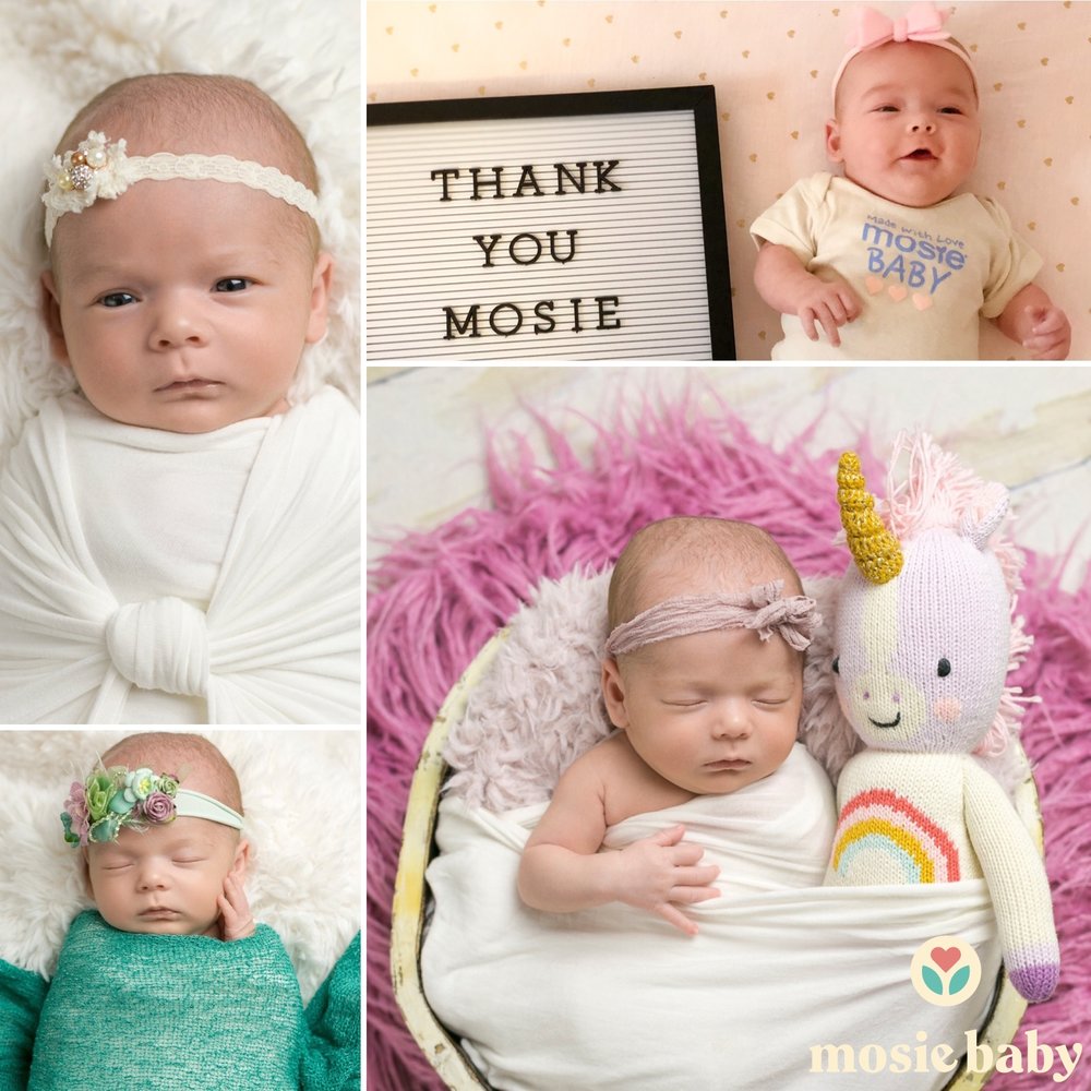 Newborn Mosie Baby four photo collage