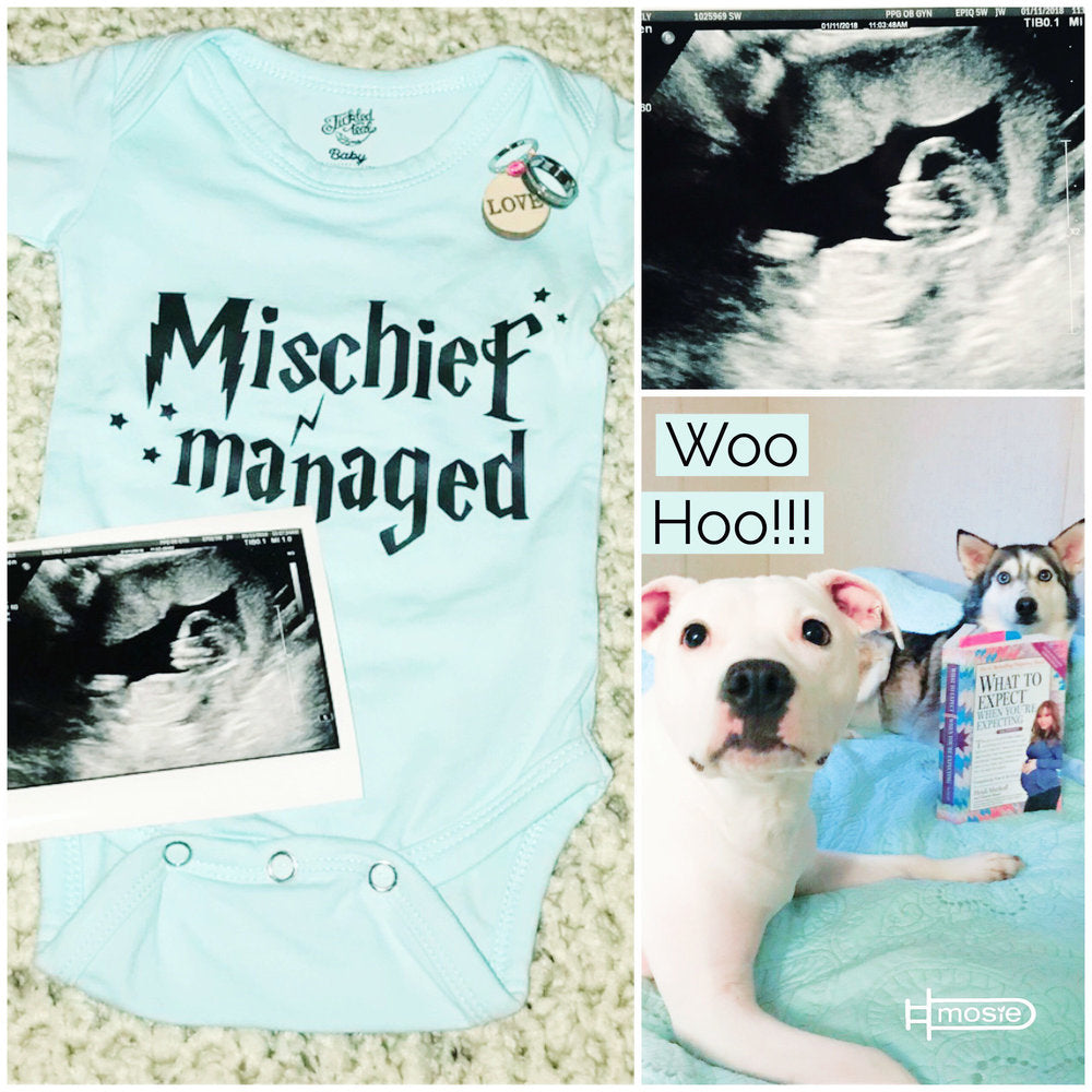 Harry Potter themed pregnancy announcement with a sonogram, onesie, and pet dogs