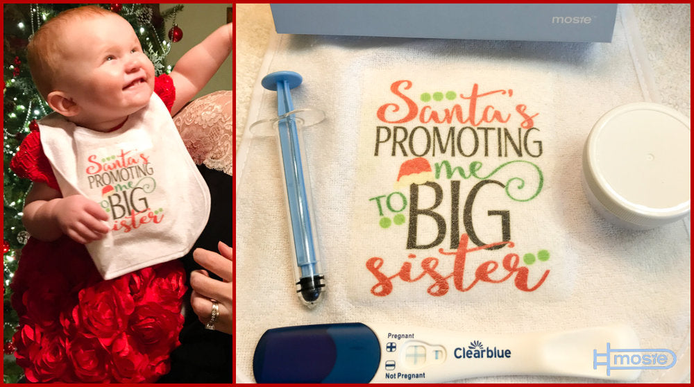 Mosie baby in bib that says "Santa's promoting me to big sister" and positive pregnancy test. 