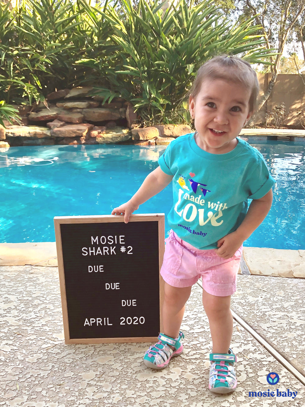 toddler in a mosie baby shirt holding a pregnancy announcement for her sibling
