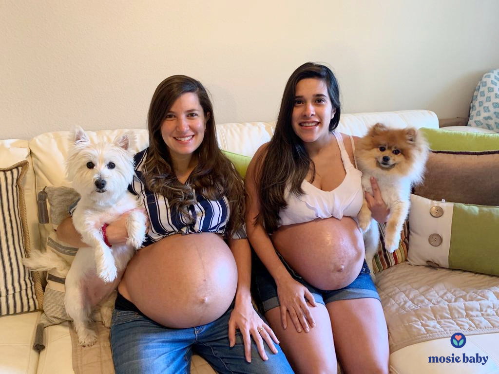lesbian couple who are pregnant from mosie baby holding their dogs