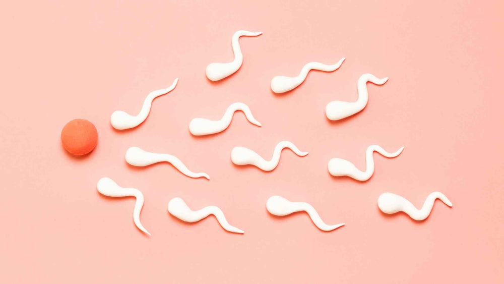 How Much Does Artificial Insemination Cost?