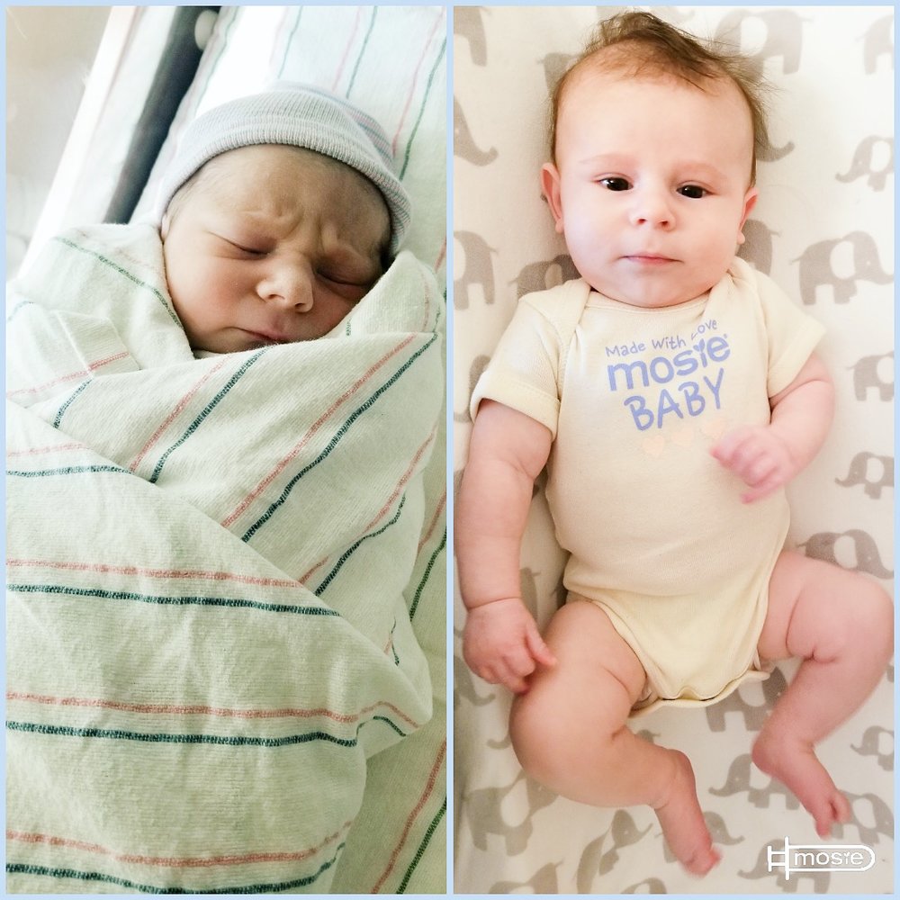 newborn Mosie baby collage featuring 2 images